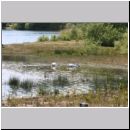 Niedringhaussee-Sundermannsee-Sandgrube 24.jpg